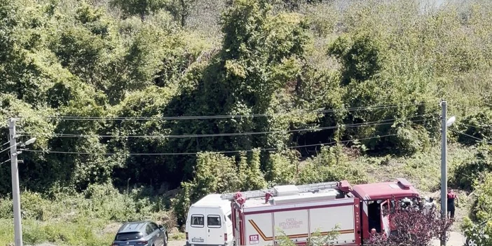 ordu-yangin-1.webp