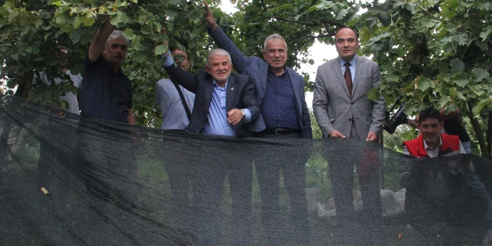 findikta-verim-nasil-artar-2.webp
