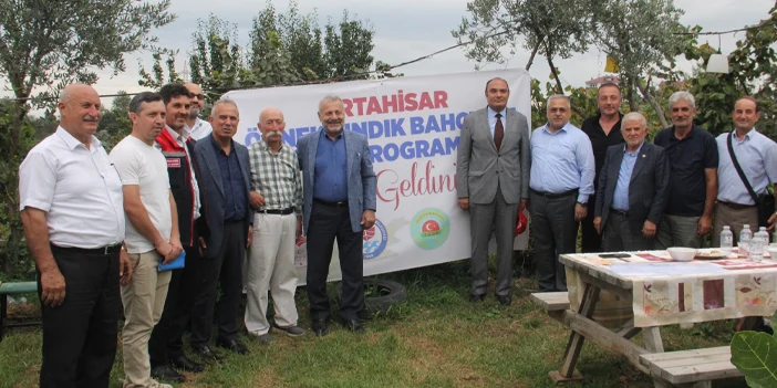 findikta-verim-nasil-artar-4.webp