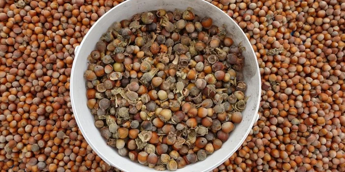 hasat-bitiyor-ureticinin-mesaisi-bitmiyor-6.webp