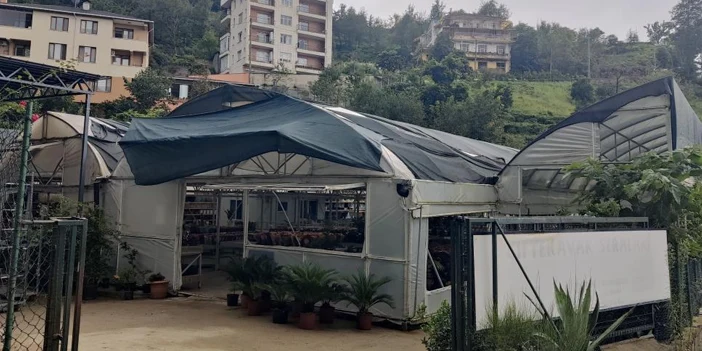 rize-cicekci-2.webp