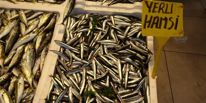 hamsi-balikcilari-sasirtti-3.webp