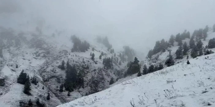 artvin-beyaza-burundu-1.webp