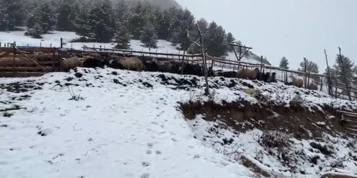 artvin-beyaza-burundu-2.webp