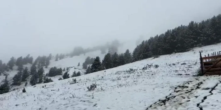 artvin-beyaza-burundu-3.webp