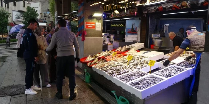 hamsi-bollugu-suruyor-3.webp