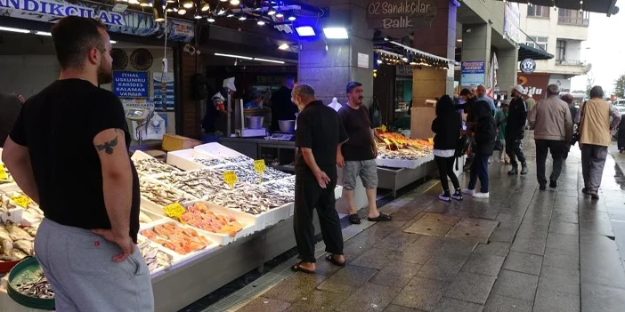 hamsi-bollugu-suruyor-4.webp