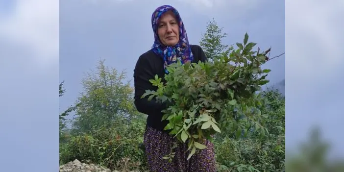 sepetini-kapan-yayla-yayla-geziyor-1.webp