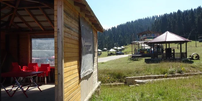 yayla-vargit-cicekleri-3.webp
