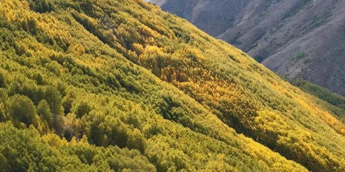 gumushane-essiz-manzaralar-5.webp