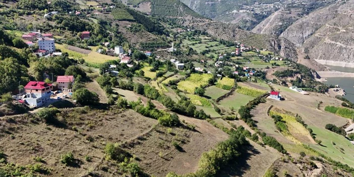 gumushane-ekmegi-7.webp