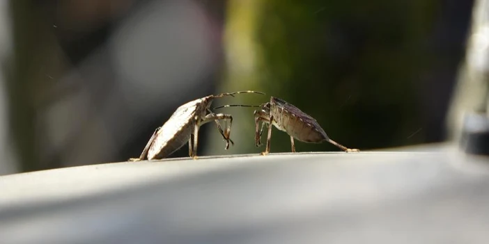 22-bin-noktada-ilaclama-3.webp