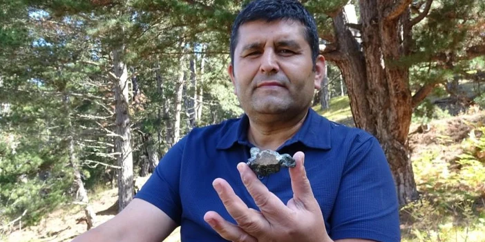 mantar-yerine-goktasi-buldu-2.webp