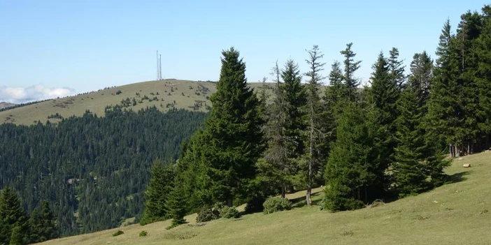 karadenizde-heyelan-riski-1.webp