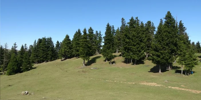 karadenizde-heyelan-riski-3.webp