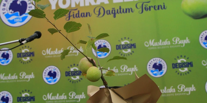 yomra-belediyesi-elmanin-kilosunu-200-liradan-satin-aliyor-3.webp