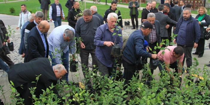 yomra-belediyesi-elmanin-kilosunu-200-liradan-satin-aliyor-4.webp