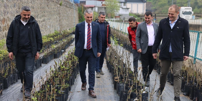 yomra-belediyesi-elmanin-kilosunu-200-liradan-satin-aliyor-5.webp