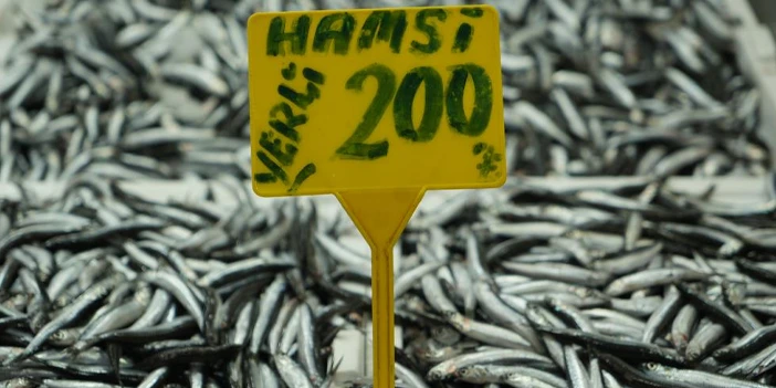 hamsi-fiyati-firladi-2.webp